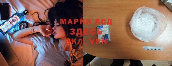 спиды Аркадак