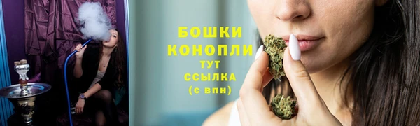 сатива Армянск
