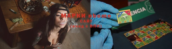 сатива Армянск