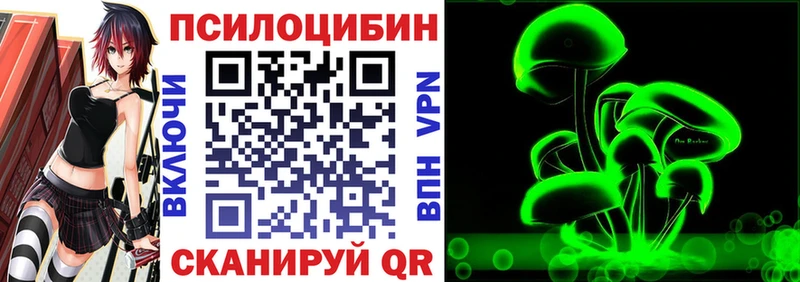 OMG tor  Чудово  Псилоцибиновые грибы ЛСД 