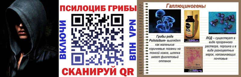 Галлюциногенные грибы Psilocybe Чудово