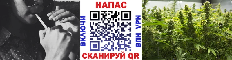блэк спрут ссылки  что такое   Чудово  Марихуана конопля 